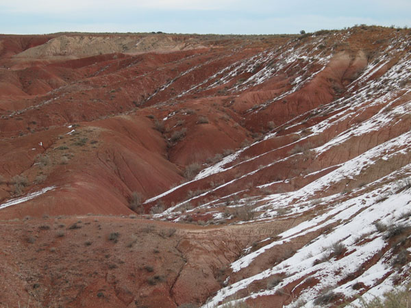 Petrified Forest NP