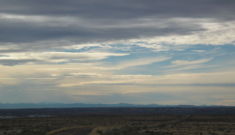 Petrified Forest NP