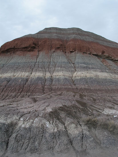 Petrified Forest NP