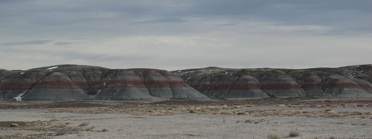 Petrified Forest NP