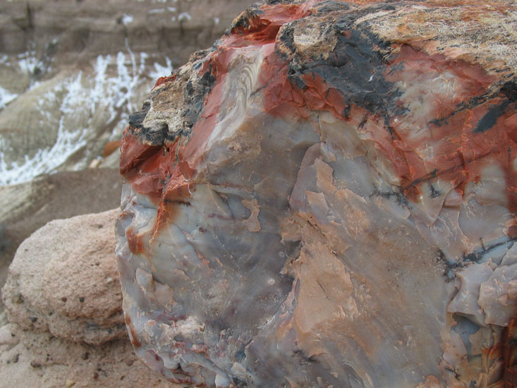 Petrified Forest NP