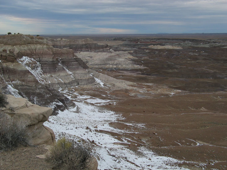 Petrified Forest NP