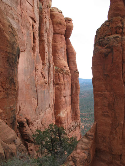 Views from Cathedral Rock