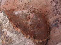 AZ04P3_0831