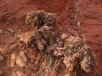 AZ04P3_0859