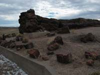 AZ04P3_2254