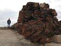 AZ04P3_2255