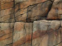 AZ04P3_2265