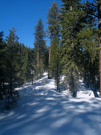 LNVP04_33.jpg