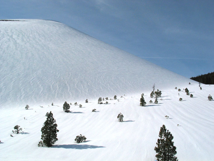 LNVP04_44.jpg