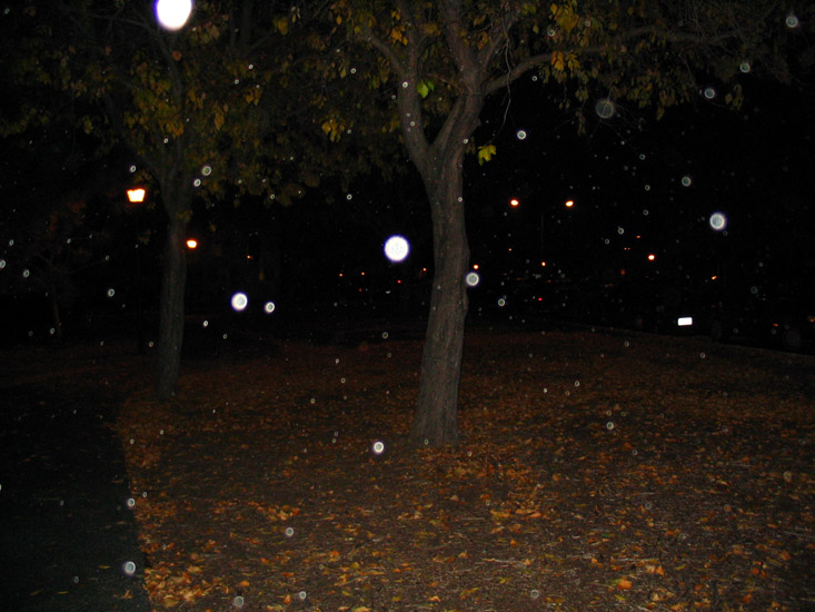 night test drive of the Canon A75