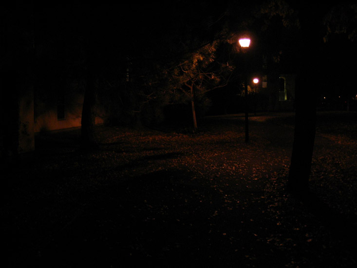 night test drive of the Canon A75