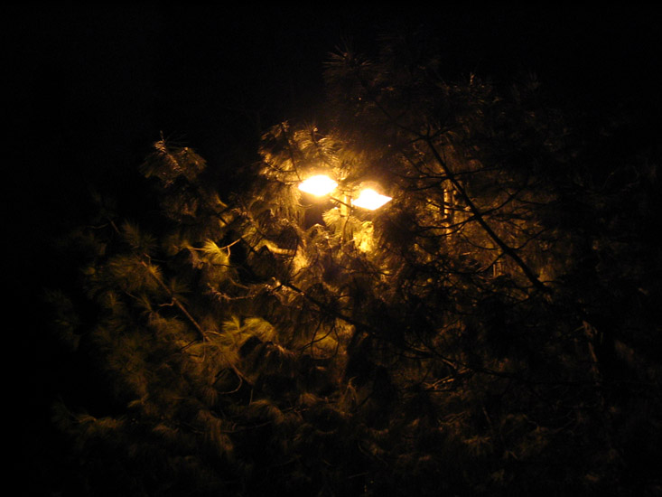 night test drive of the Canon A75