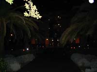 night test drive of the Canon A75
