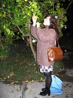 night test drive of the Canon A75