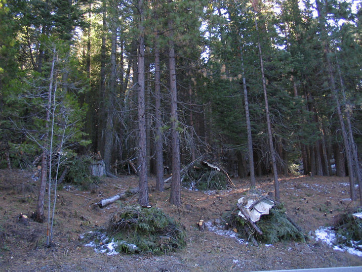 yosemite garbage collection???