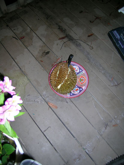 Durian PArty at Nella's place