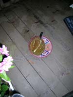 DCWP_0182