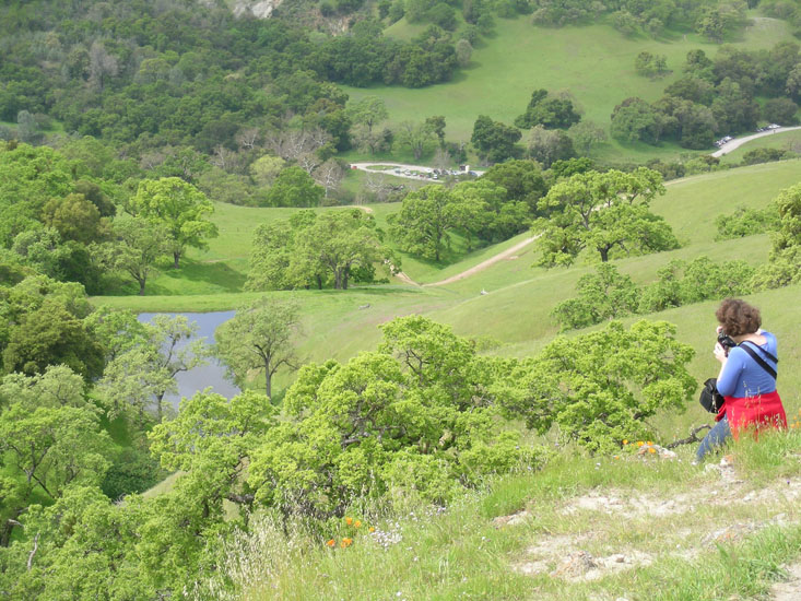 Hiking in SUnol Wilderness