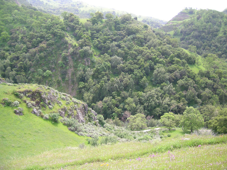 Hiking in SUnol Wilderness