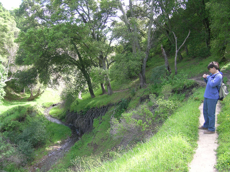Down Indian Valley trail