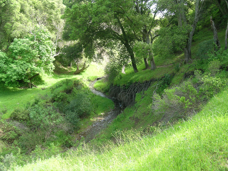Down Indian Valley trail