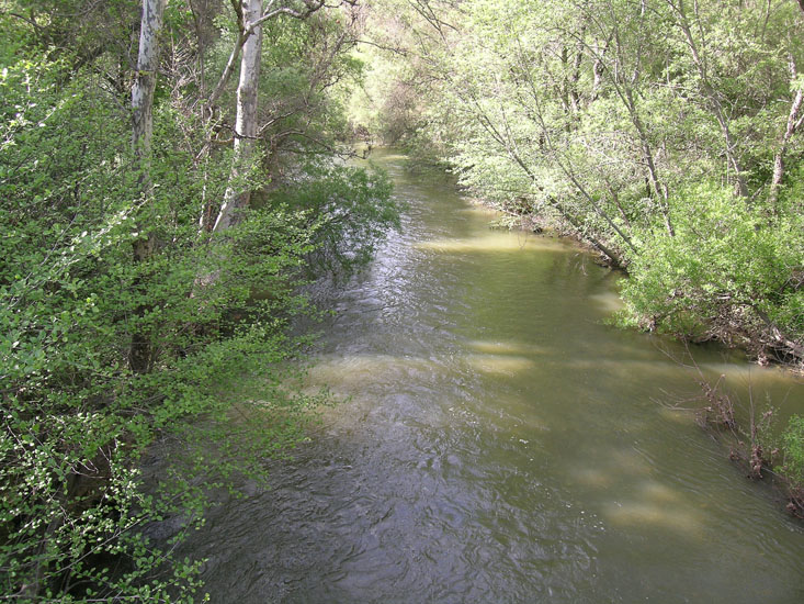 Down Indian Valley trail