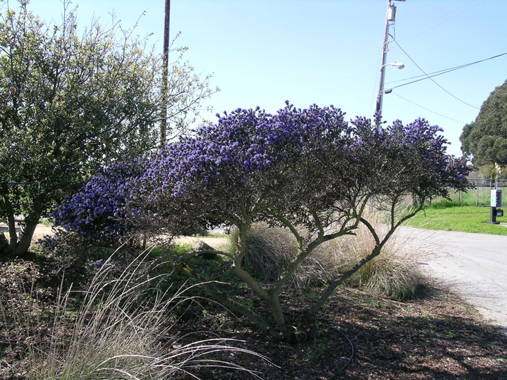 Pinole point orienteering