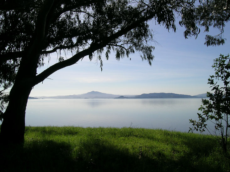 Pinole point orienteering