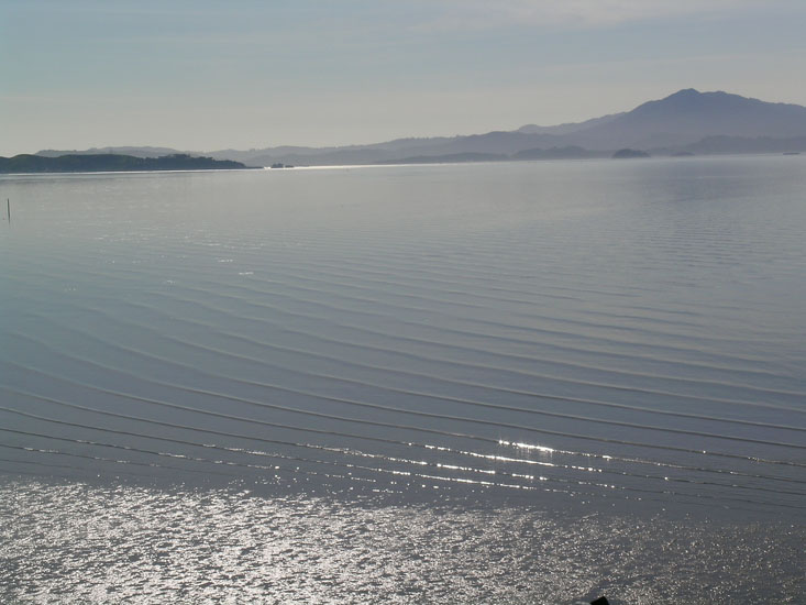 Pinole point orienteering