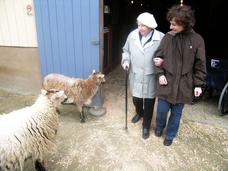 SF Zoo trip with babushka Anya
