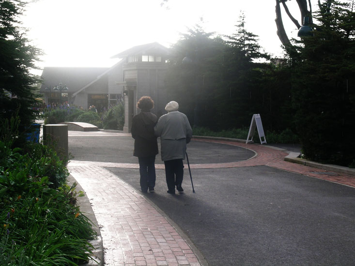 SF Zoo trip with babushka Anya