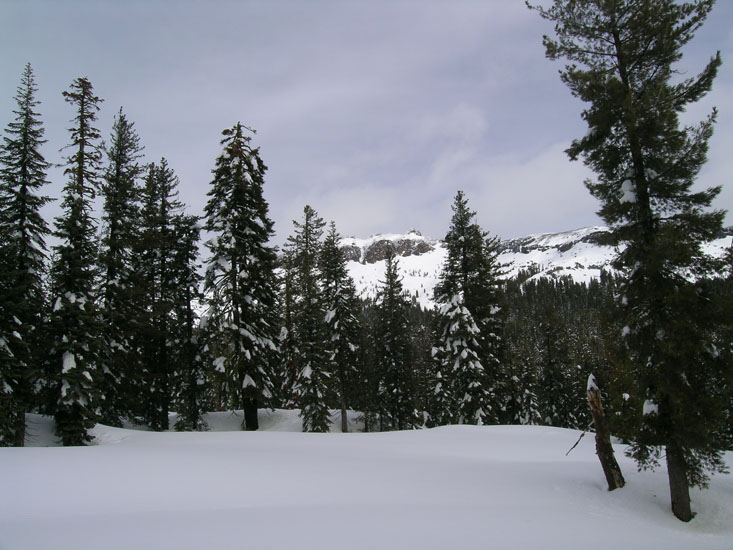on  the way to Peter Grubb hut and back