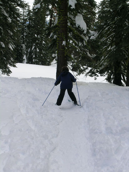 on  the way to Peter Grubb hut and back