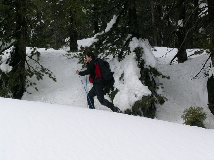 on  the way to Peter Grubb hut and back