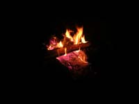 MAFN_0261