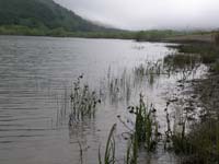 MAFN_0266
