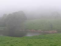 MAFN_0286