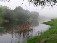 MAFN_0290