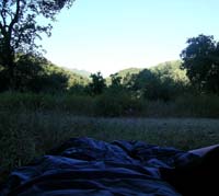 SMAM_0783.jpg<br>