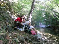 SMAM_0800.jpg<br>