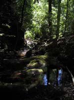 V0509_1861.jpg