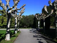 V0509_1986.jpg