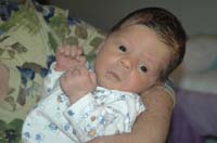 Greg06_0379.jpg