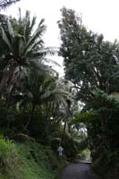 HW06_0215.jpg