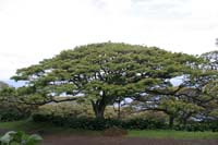 HW06_0220.jpg