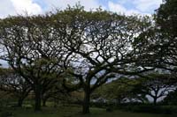 HW06_0221.jpg
