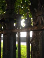 HOLL_0178.jpg