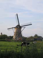 HOLL_0592.jpg