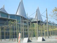 HOLL_0658.jpg